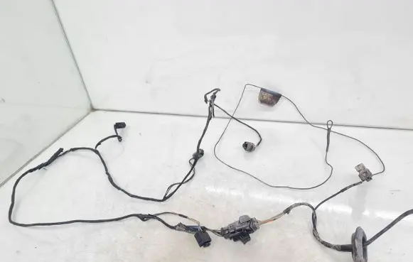 Renault Laguna II Parking sensor (PDC) wiring loom 55RDVN100 20006005