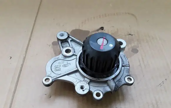 Hyundai Santa Fe Water pump NOCODE