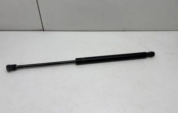 Tailgate/trunk strut/damper