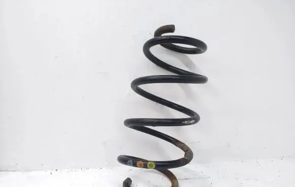 Front coil spring