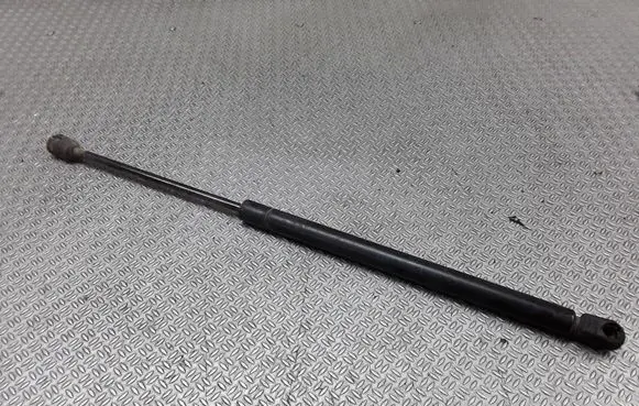 Tailgate/trunk strut/damper