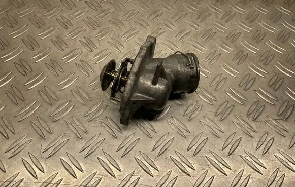 Thermostat/thermostat housing