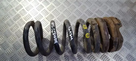 KIA Sedona Rear coil spring