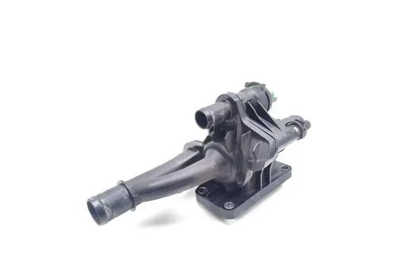 Thermostat/thermostat housing