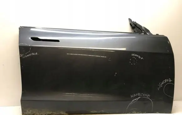 Tesla Model 3 Front door