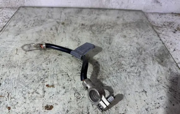 Mercedes-Benz B W245 Negative earth cable (battery) A1695406409