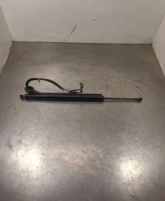 Opel Insignia A Tailgate/trunk strut/damper 13278258 B034010
