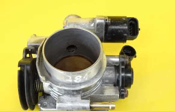 Throttle body valve