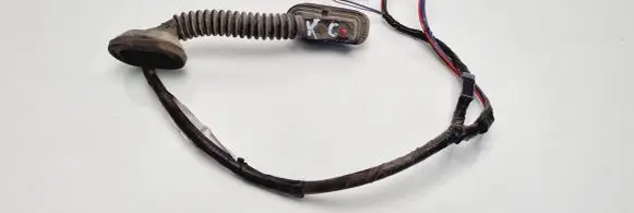 Mazda Xedos 9 Rear door wiring loom 71358966