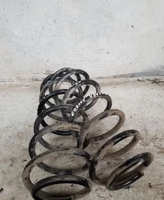Opel Antara Front coil spring