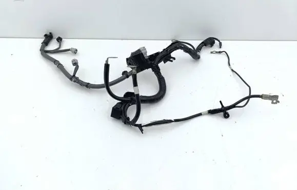 Subaru Legacy VII Wires (generator/alternator) 81601AN00A
