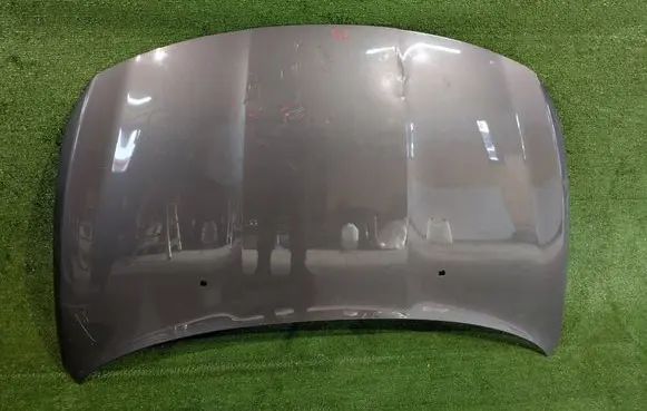 Engine bonnet/hood