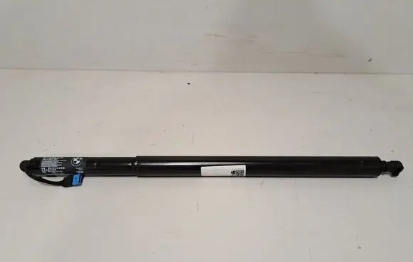 Tailgate/trunk strut/damper