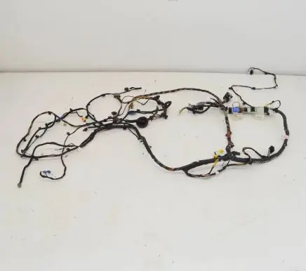 Tesla Model 3 Other wiring loom 106795400E