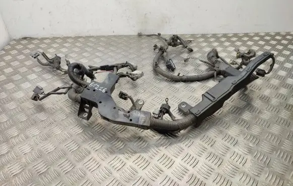 Toyota RAV 4 (XA40) Engine installation wiring loom