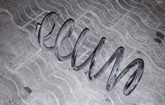 Toyota Urban Cruiser (XP110) Rear coil spring NOCODE
