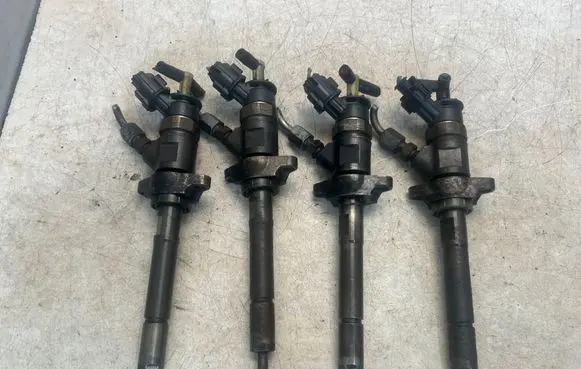 Citroen C3 Picasso Fuel injectors set 0445110311 620033
