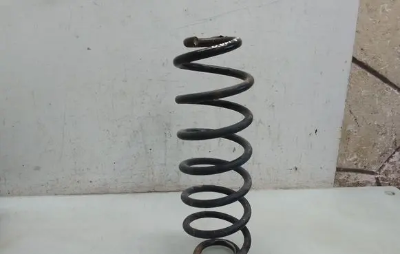 Rear coil spring