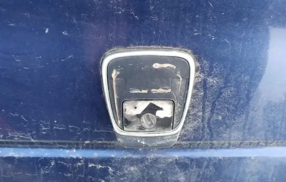 Peugeot 406 Tailgate/trunk/boot exterior handle melynas