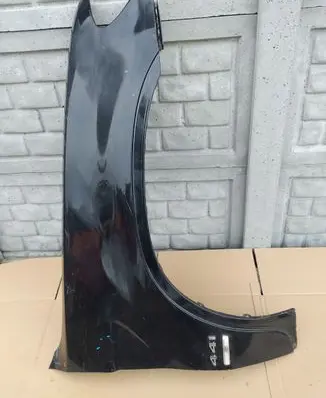 BMW X5 E53 Fender 65813P098C