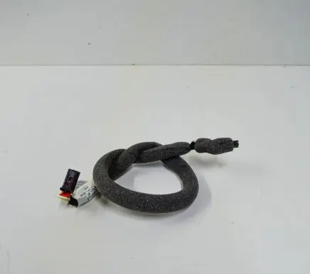 Audi A3 S3 8P Other wiring loom 8P0971148