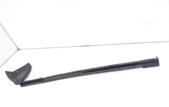 BMW 3 E46 Front door glass trim molding 2815 52815