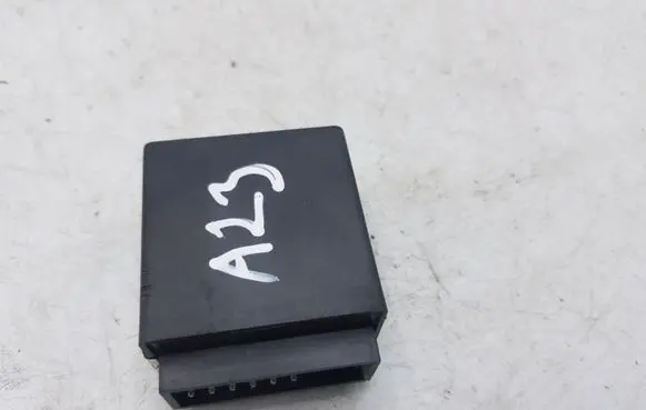 Toyota RAV 4 (XA20) Other control units/modules NOCODE
