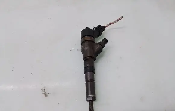 Peugeot 406 Fuel injector 9640088780
