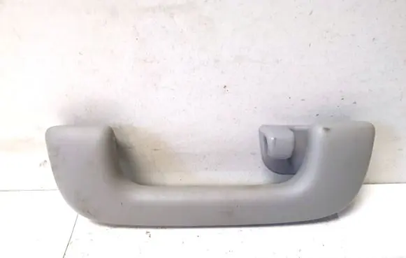 Hyundai Santa Fe Rear interior roof grab handle
