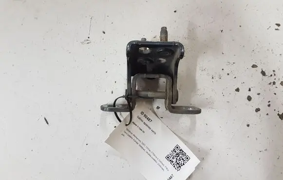 Jaguar S-Type Rear door lower hinge