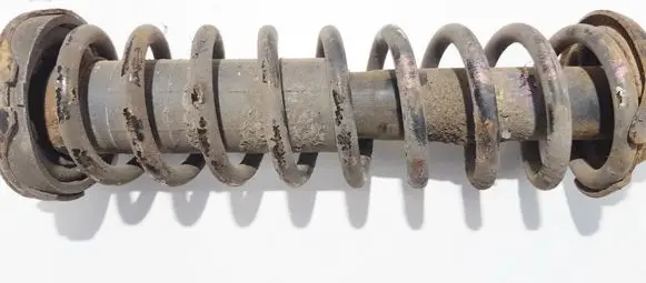 Rear coil spring