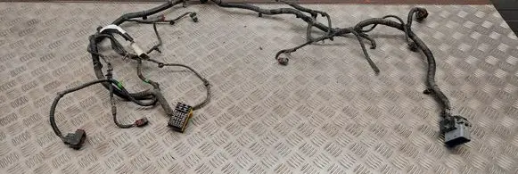 Cadillac CTS Engine installation wiring loom
