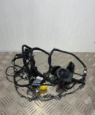 Audi Q5 SQ5 Front door wiring loom 8R0971029AJ
