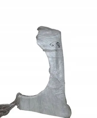 Audi RS4 B8 Fender 1N2TEILE