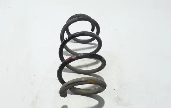 Renault Kangoo II Front coil spring 540109615R
