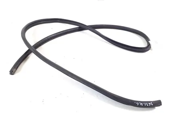 Rear door rubber seal (on body)