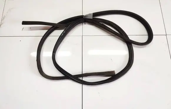 Chrysler Voyager Rubber seal rear door 