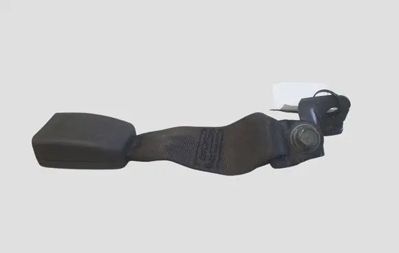 Hyundai Santa Fe Middle seatbelt buckle (rear)