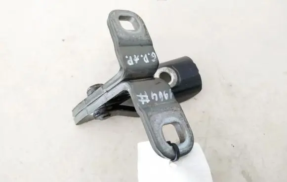 BMW X5 F15 Rear door lower hinge 7352697