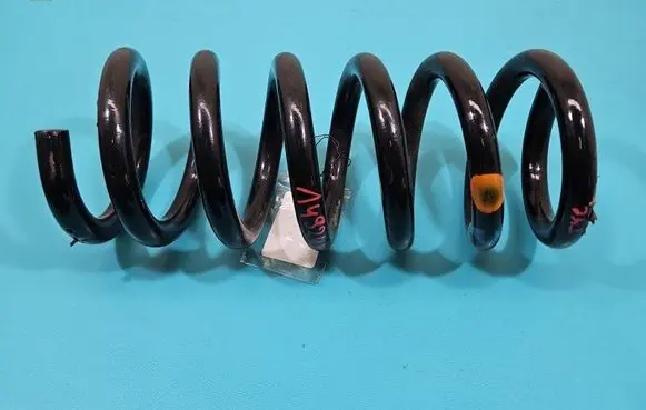 Rear coil spring