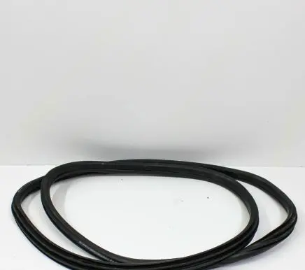 BMW X2 F39 Rubber seal rear door 7420803