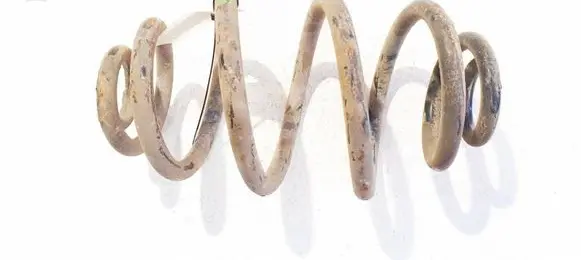 Volkswagen PASSAT B5.5 Rear coil spring