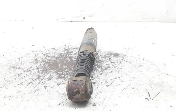 Citroen Xsara Picasso Rear shock absorber/damper
