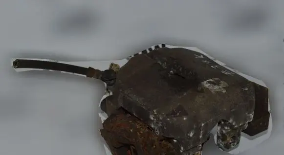 BMW 5 E39 Front brake caliper