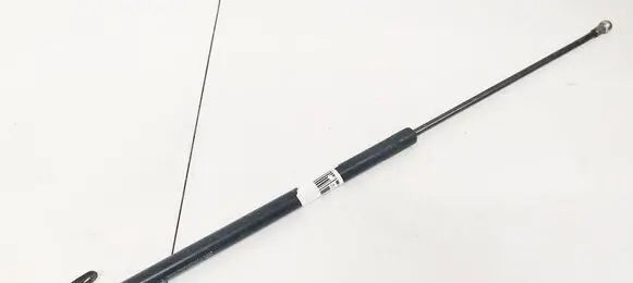 Tailgate/trunk strut/damper