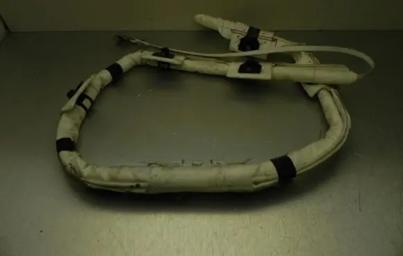 Ford C-MAX II Roof airbag 1B6291600 M1798