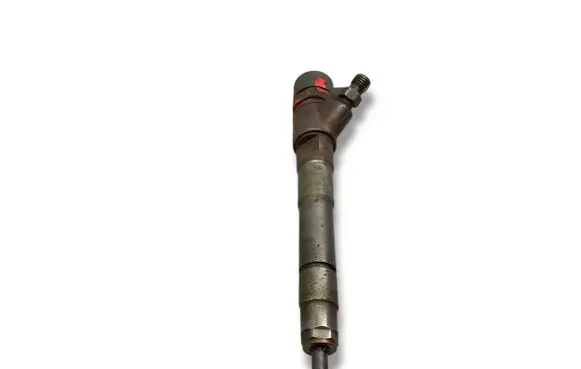 Fiat Ducato Fuel injector 0445110418 504389548