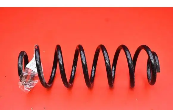 Rear coil spring
