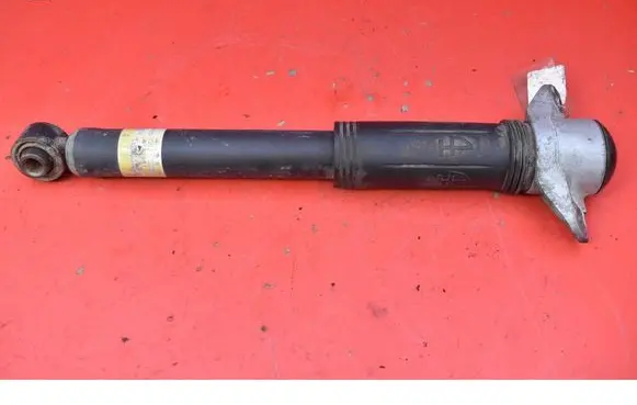 Lexus UX Rear shock absorber/damper 4853076320