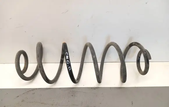 Rear coil spring